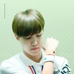 [방탄소년단] 호석이도 <b>코끼리</b> 만들고 싶었나봄