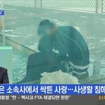 [EXO] 메주스탈 <b>뉴스탐</b>ㅋㅋㅋㅋㅋ