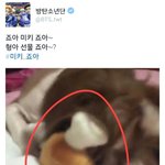 [방탄소년단] 강아지 키우는 방탄 멤버들은