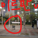 [댓글부탁합니다] [사진o]그렇게 힘든가요? <b>제자리</b>에 가져다 놓는거