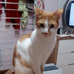 나의 동거남 <b>도칠</b>이는 아직도 애기