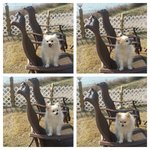 <b>포</b><b>메</b>ㅡ앤비이야기