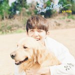 [세븐틴] <b>쿱스</b>+멍멍이=완벽