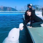 [놀자24] 흔한 돌고래의 <b>성차별</b>
