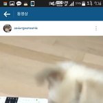 [<b>B1A4</b>] 헛 뭐지 망고랑 율무랑 만난적 있는건가