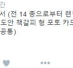 [세븐틴] 일본 한정 특저언~?! 엿먹어라 플디