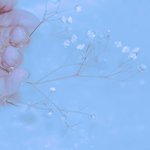 [댓글부탁해] 얘들아 이 이름 어때?