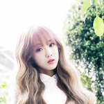 [러블리즈] 틧에서줍한건데 <b>지애</b>티저