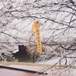 [방탄소년단] 지금 자는 이삐들 좋은꿈꿔 밑에 어<b>그</b>로글들 읽지<b>마</b>!