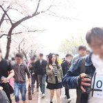 [댓글부탁해] 벚꽃과 <b>효성</b>
