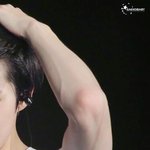 [세훈] 세훈이 팔 모음