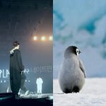 [EXO] 시발 <b>빠</b>순적으로 이거 넘귀여운거ㅇㅏ니냐ㅜ