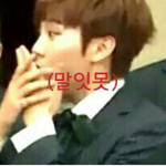 [세븐틴] 애들 <b>엽사</b> 좋아하는 수니들 손...