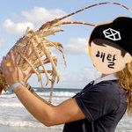[EXO] 시발 오랜만에 사진 <b>폴더</b> 정리하는데