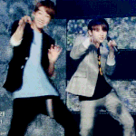 [세븐틴] <b>아카</b>사자 두마리