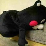 [EXO] ㅅㅂ학교에서말한번잘못했다가 이상한<b>이미지</b>됨