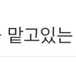 [EXO] 시발 이 댓글 존웃ㅋㅋㅋㅋㅋ