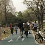 [방탄소년단] 남<b>준이</b> 봄 짹짹이때 목격짤떴네