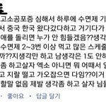 [EXO] 이새끼랑 싸울까