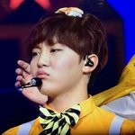 [세븐틴] 봄이 그렇게도 좋냐 <b>멍청이</b>들아