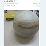 [EXO] 시발ㅋㅋㅋㅋㅋ<b>허언</b>갤 목성 주운썰ㅋㅋㅋㅋㅇ