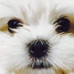 [<b>부적</b>] 추천누르면 시험 개잘봄