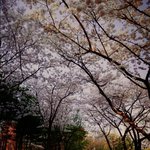 [댓글부탁해] <b>사진</b> <b>보정</b>어때?
