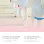[세븐틴] 이거 누구일까?