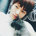 [인피니트] 도시락 투표 2위야ㅜㅜ