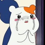 사랑뚱아 보고<b>시퍼</b>