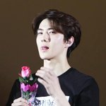 [세훈] 세훈이 혀 모음