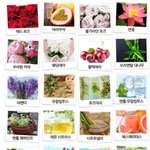 남자가 쓸만한 향