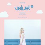 [레드벨벳] 《개소리주의》레벨 티져해석ㅋㅋㅋㅋ