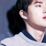 [EXO] [<b>지식</b>in] 대학가면 수호같은 선배있나요?