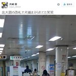 [이불밖은] 일본의 <b>무임</b>승차