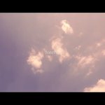 [방탄소년단] 헐 <b>forever</b> 글씨 나오기  전에