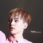 [시우민] 시우민)<b>핑크</b>슈는 사랑이야 ㅠㅠ