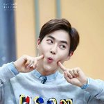 [EXO] 눈부신 <b>존재</b>