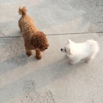 울집 <b>보물</b> 잭순이 2탄!!!!!