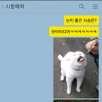 [이불밖은] 눈이 좋은 <b>사슴</b>은?