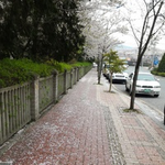 <b>jms</b> !  <b>jms</b> !  ^^