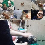 [<b>동행</b>세상] 티없이 맑은 아이 초롱이