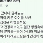 [<b>이불</b>밖은] 초등학생이 동물병원에 놓고 간 것