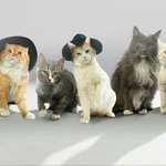 [드루와] SM 일본에서 데뷔하는 샤이냥