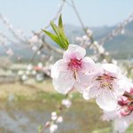 [드루와] 내 짝남 너무 좋아ㅠㅠㅠㅠ다들 설렘일화 풀자