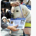 [댓글부탁해] 흔치 않은 대학 <b>졸업생</b>