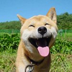 우리 이제 <b>시험</b> <b>얼마</b> 안 남았잖아 