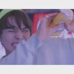 [세븐틴] 형광<b>비니</b>에 머스타드라니