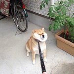 <b>난쟁이</b>가 내 품에 안길때까진 판 못떠난다.