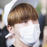 [방탄소년단] 호비멍뭉이